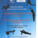 AGV Falicon