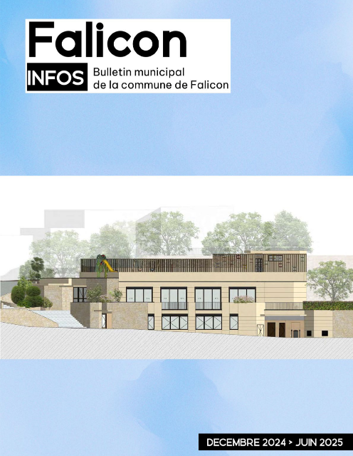 Falicon Infos