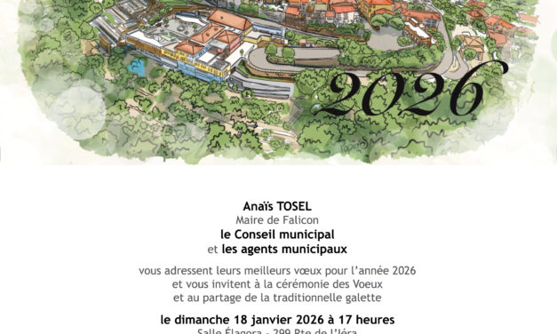 Voeux du maire