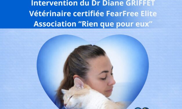 Conférence – Rotary Club Ciel de Nice